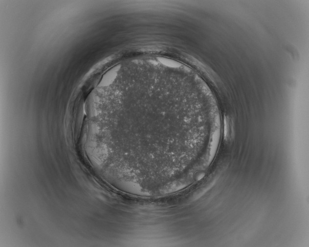 X0000113570723200910161517