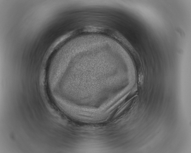 X0000113570724200910161517