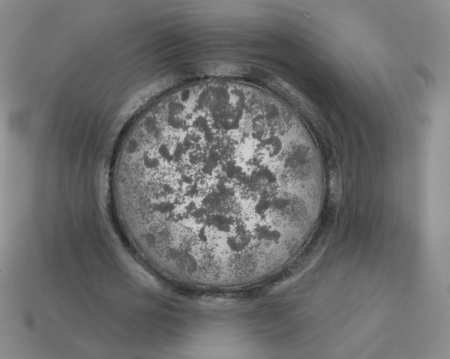 X0000113570725200910161517