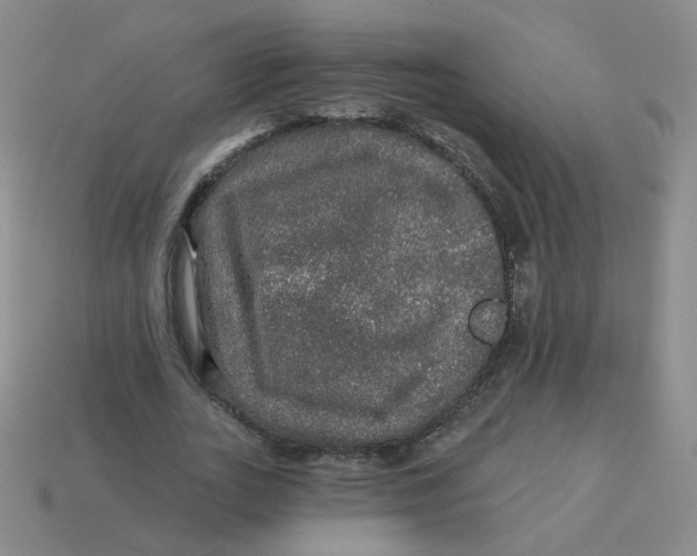 X0000113570727200910161517