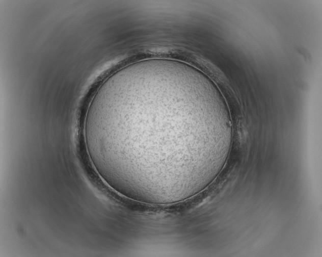 X0000113570728200910161517