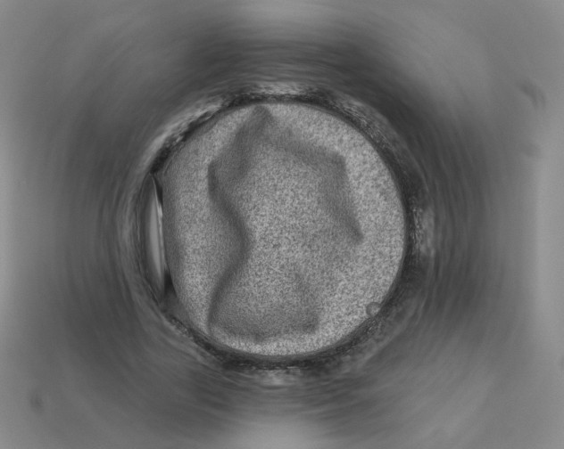 X0000113570731200910161517