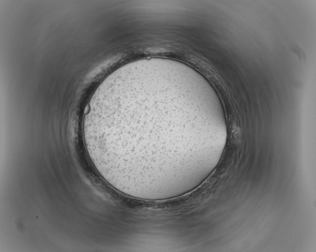 X0000113570732200910161517