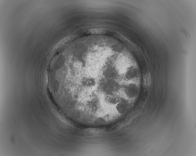 X0000113570733200910161517