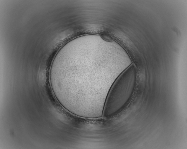 X0000113570736200910161518