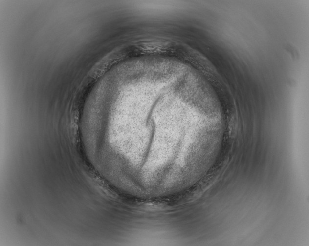 X0000113570737200910161518