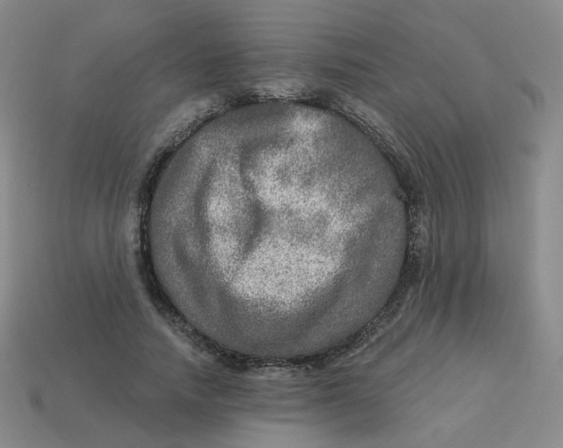 X0000113570738200910161518