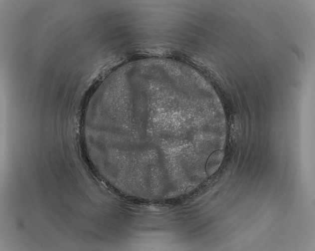 X0000113570739200910161518