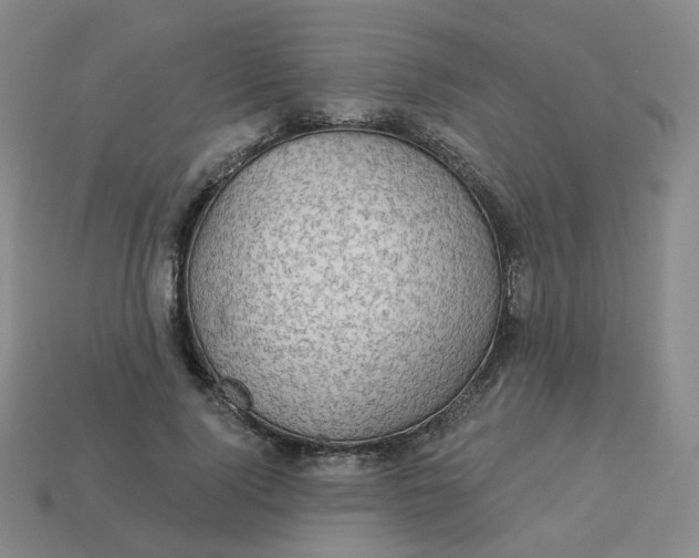 X0000113570740200910161518