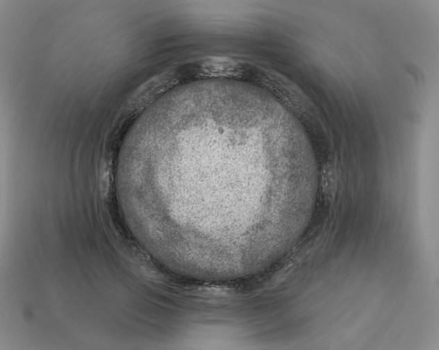 X0000113570741200910161518