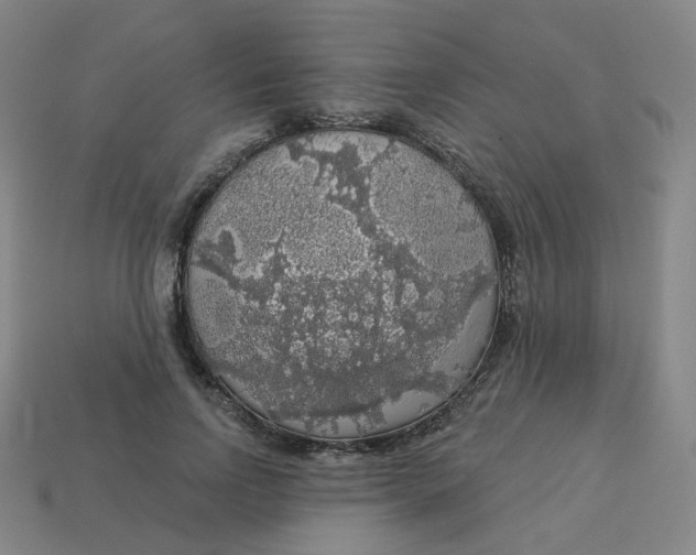 X0000113570742200910161518