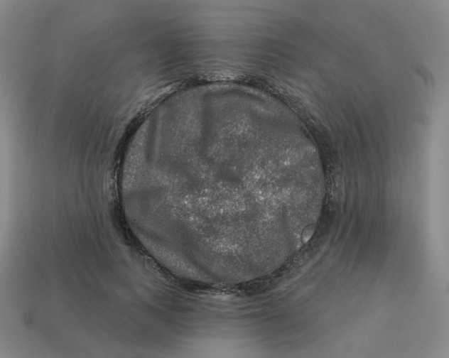 X0000113570743200910161518