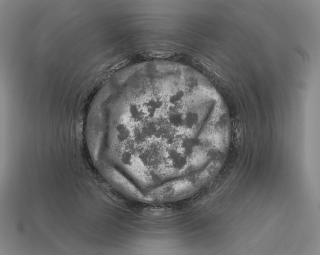 X0000113570745200910161518