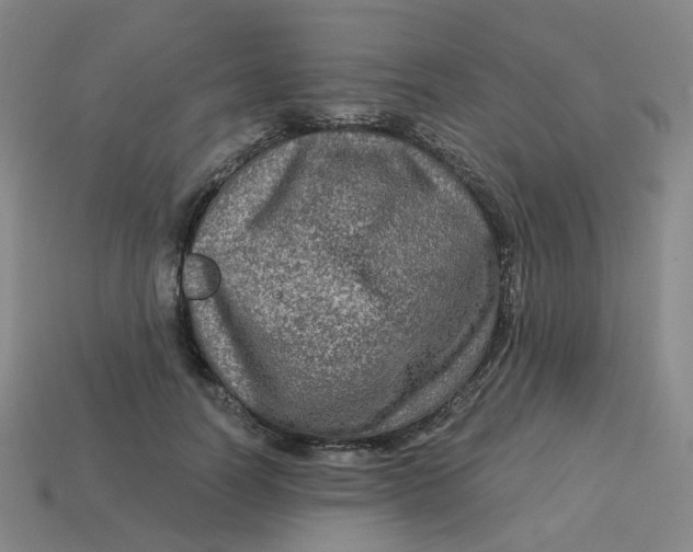 X0000113570746200910161518