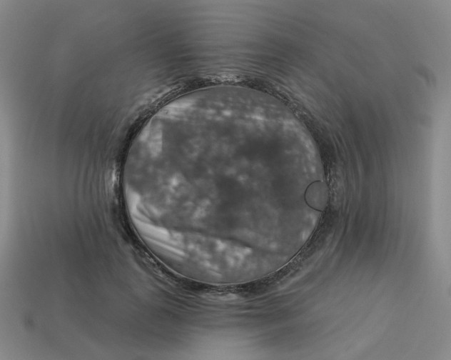 X0000113570747200910161518