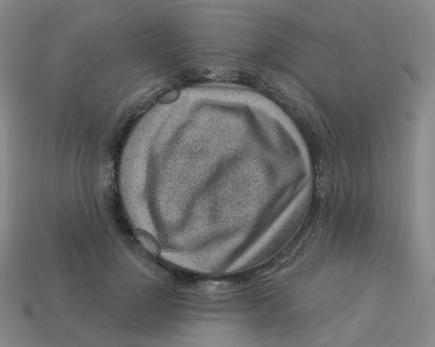 X0000113570748200910161518