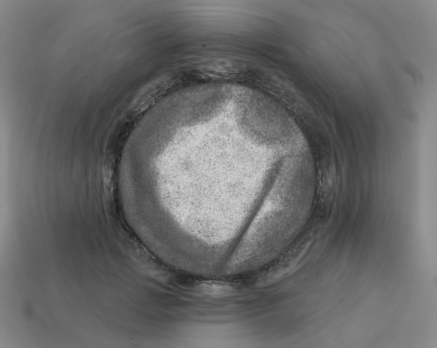 X0000113570749200910161518