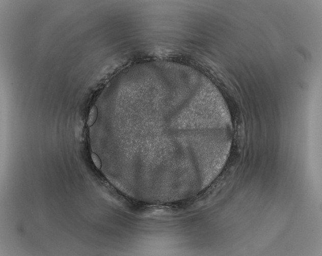 X0000113570750200910161518