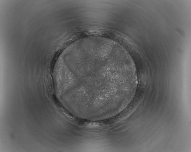 X0000113570751200910161518