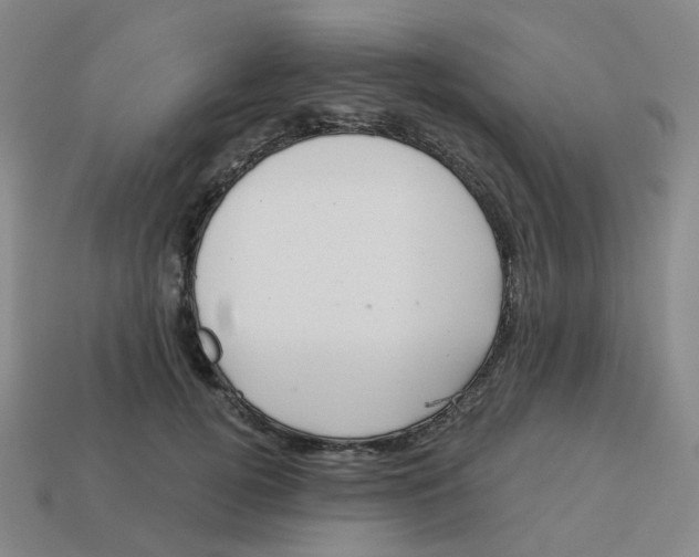 X0000113570752200910161518