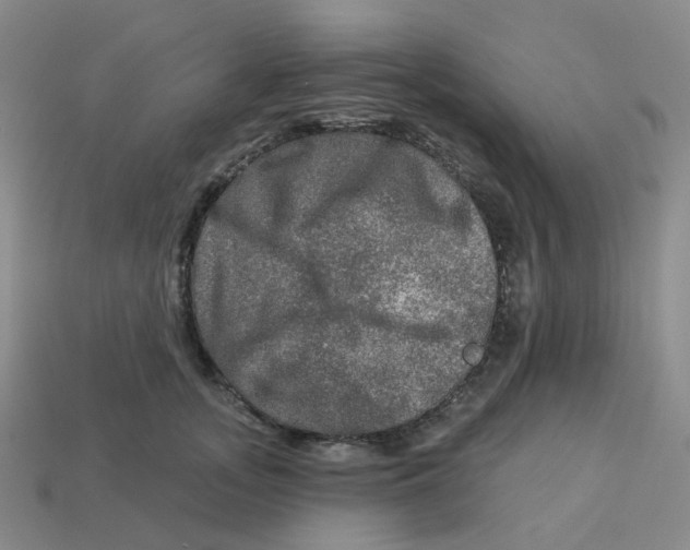 X0000113570755200910161518