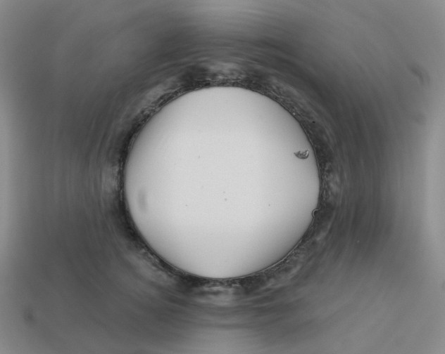 X0000113570756200910161518