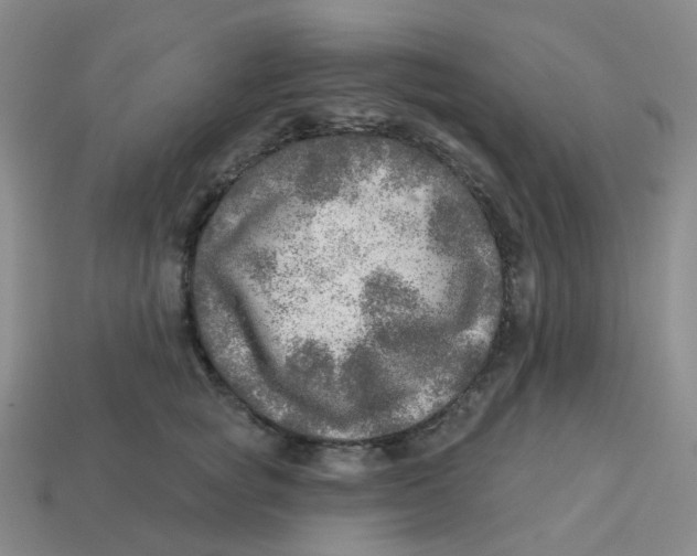 X0000113570757200910161518