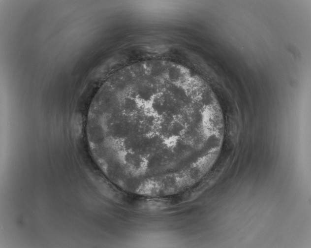 X0000113570758200910161518