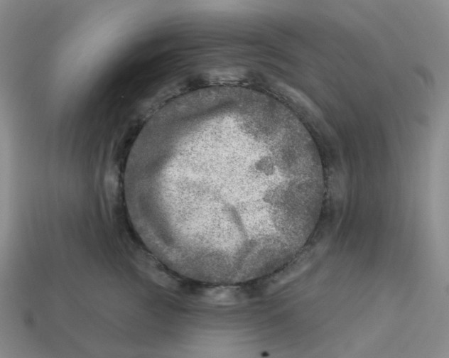 X0000113570761200910161518