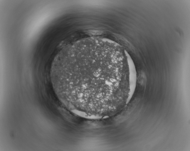 X0000113570763200910161518