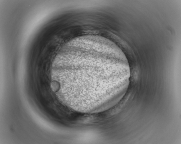 X0000113570764200910161518