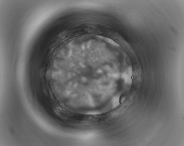 X0000113570765200910161518