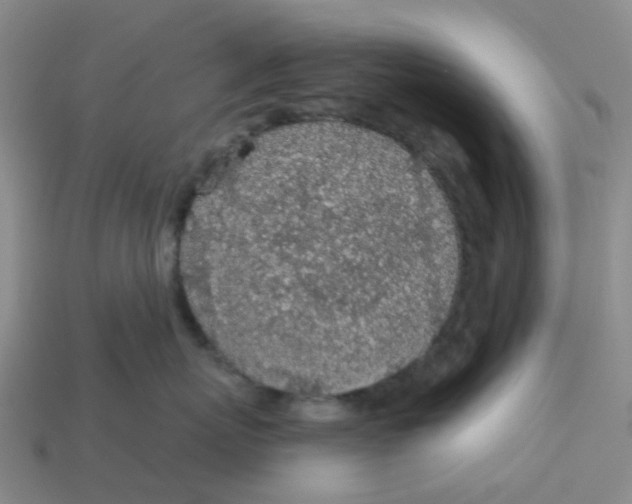 X0000113570767200910161518