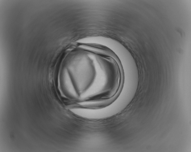 X0000113570768200910161518