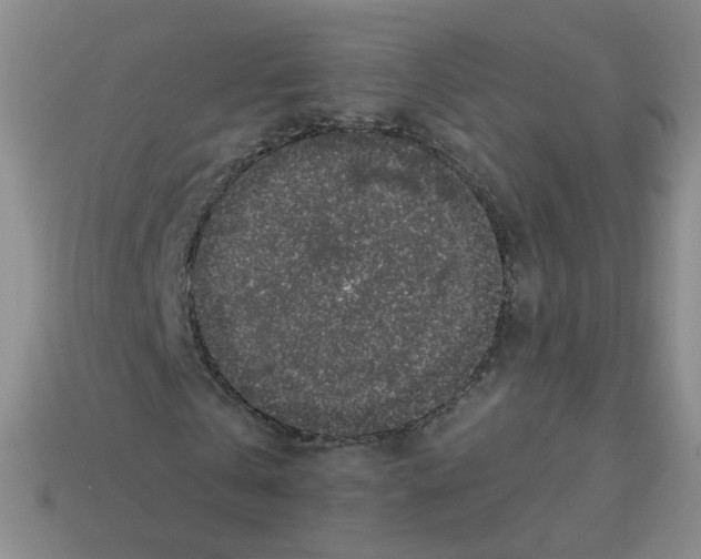 X0000113570769200910161517