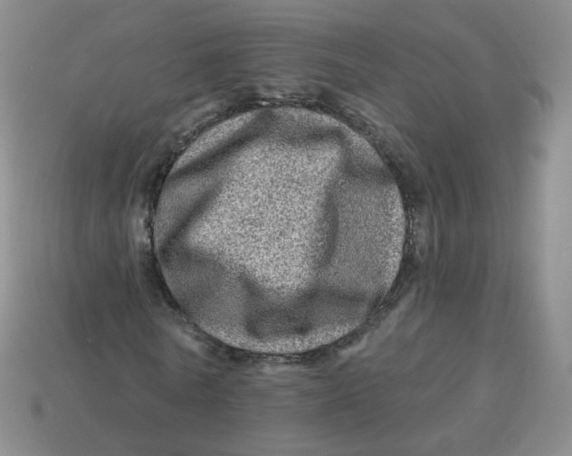 X0000113570770200910161517