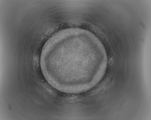 X0000113570772200910161517