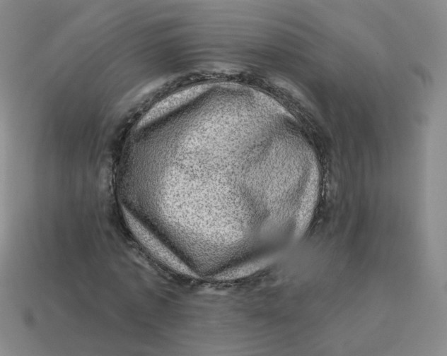 X0000113570773200910161517