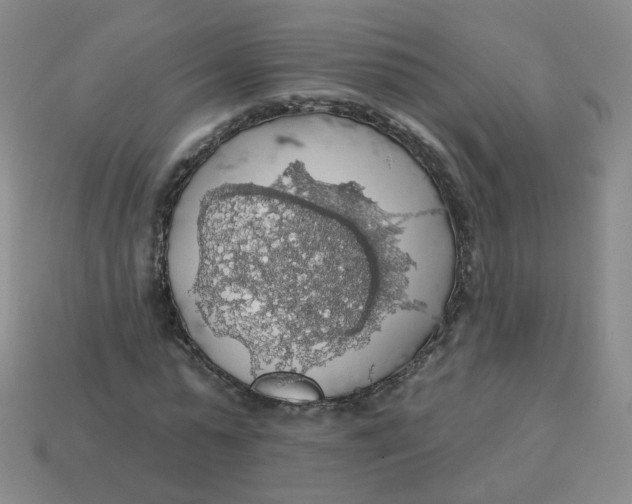 X0000113570775200910161517