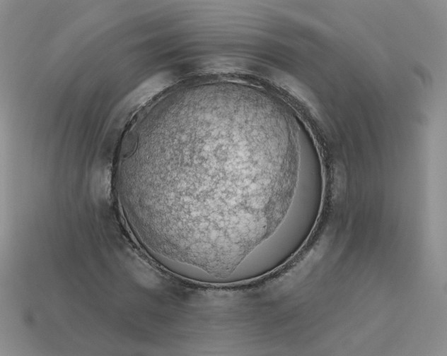 X0000113570777200910161517