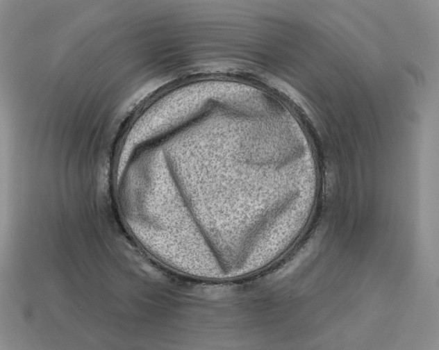 X0000113570778200910161517