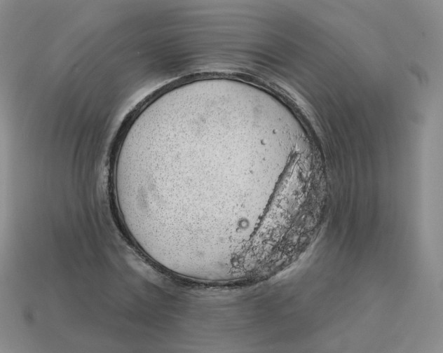 X0000113570779200910161517