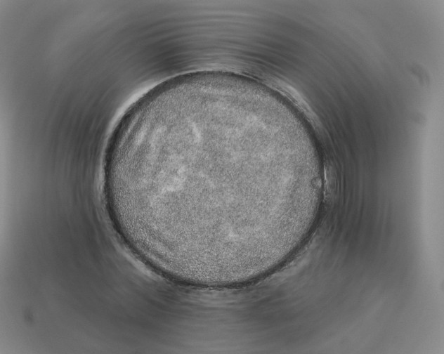 X0000113570780200910161517