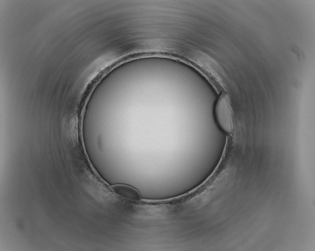 X0000113570781200910161517