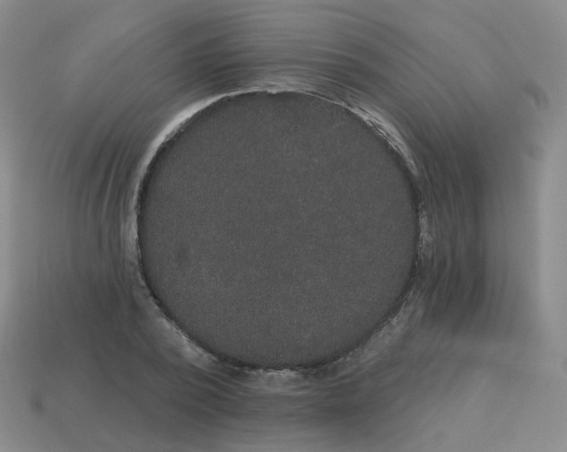 X0000113570784200910161517