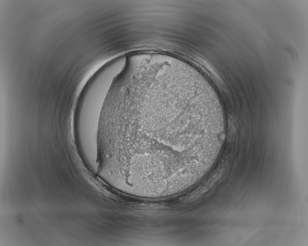 X0000113570788200910161517