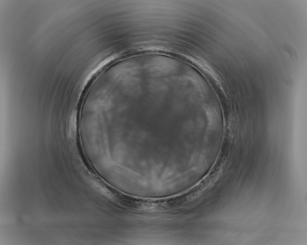 X0000113570790200910161517