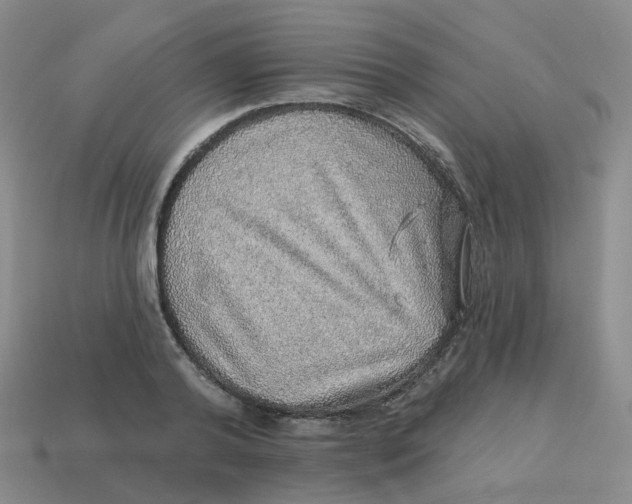 X0000113570792200910161517