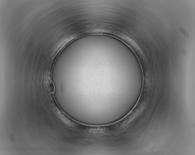 X0000113570793200910161517