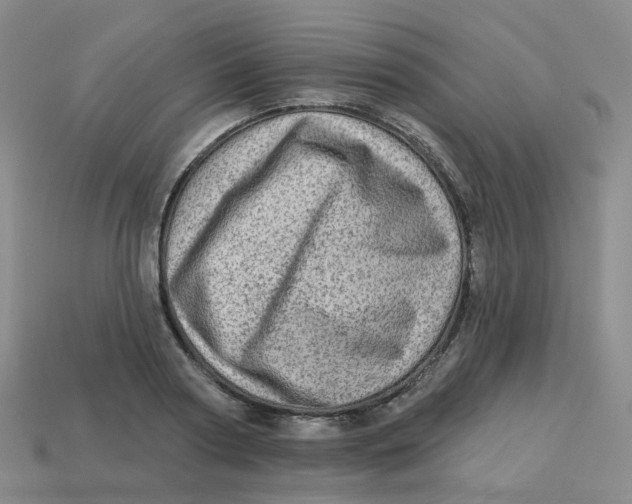 X0000113570794200910161517